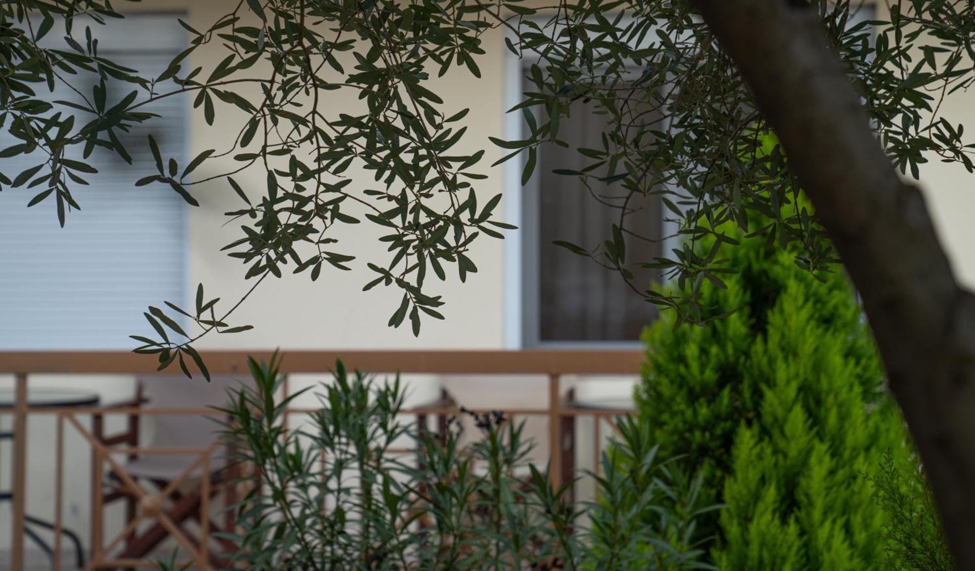 Guesthouse Adonis Káto Loutrákion Dış mekan fotoğraf
