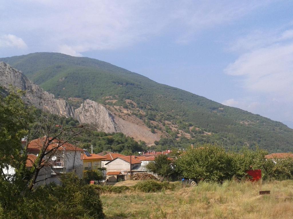 Guesthouse Adonis Káto Loutrákion Dış mekan fotoğraf