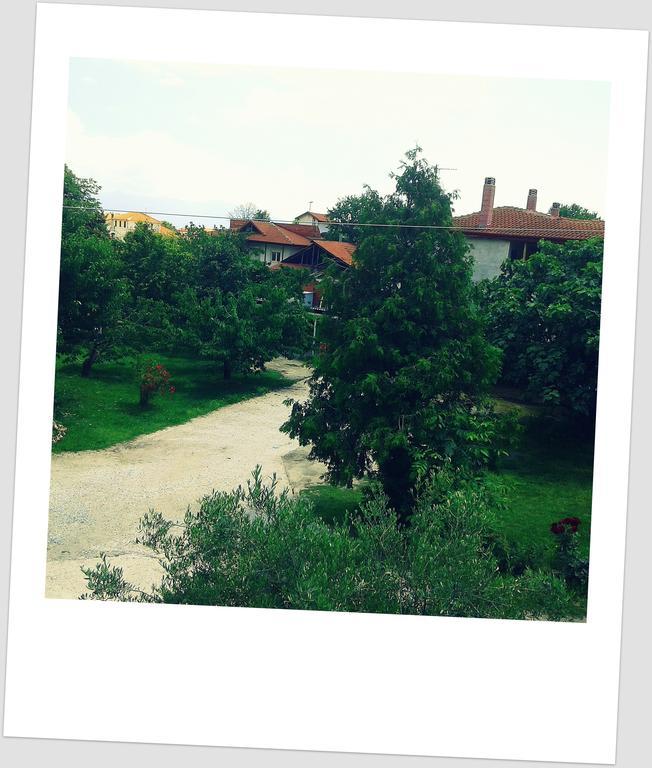Guesthouse Adonis Káto Loutrákion Dış mekan fotoğraf