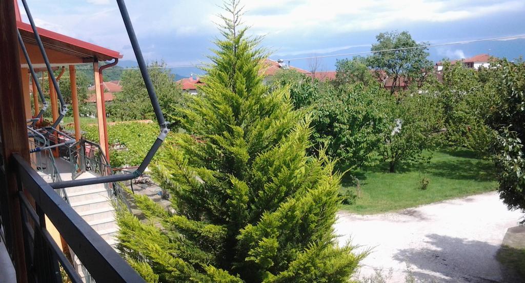 Guesthouse Adonis Káto Loutrákion Dış mekan fotoğraf